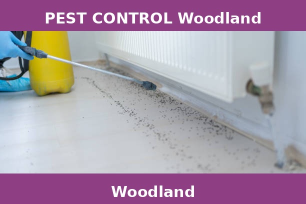PEST CONTROL Woodland